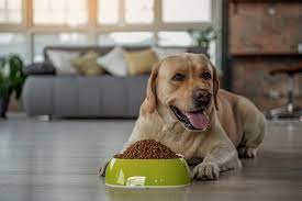 First Mate Dog Food